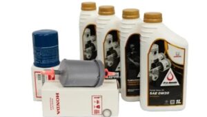 Kit de Revisão Básica Honda – Modelos Flex